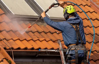 Démoussage et hydrofuge de toiture à Allineuc